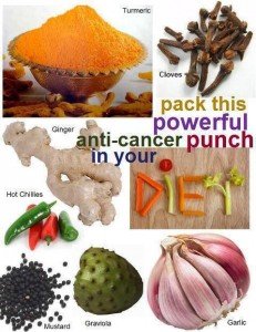Avoid-The-Cancer-By-Using-Spices-231x300