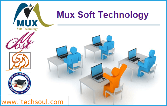 Mux Soft Technology