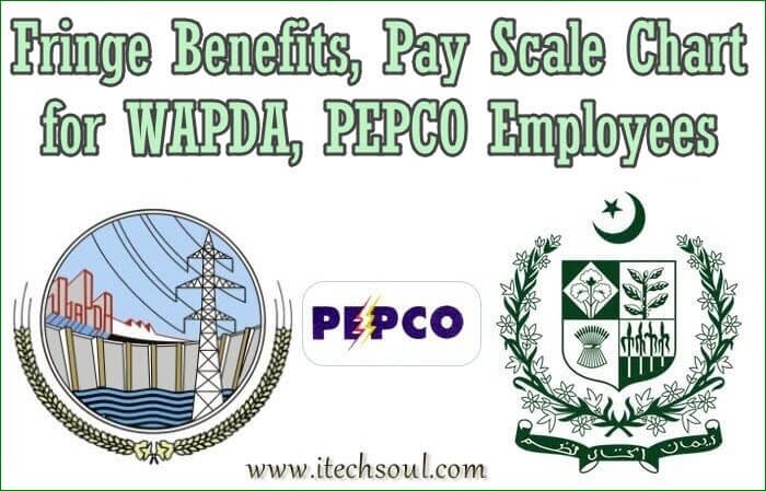 Fringe Benefits for WAPDA, PEPCO Employees
