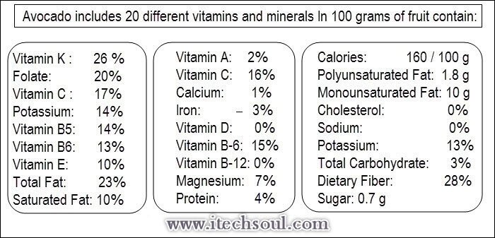 Magical Health Benefits Of  Avocado (2)